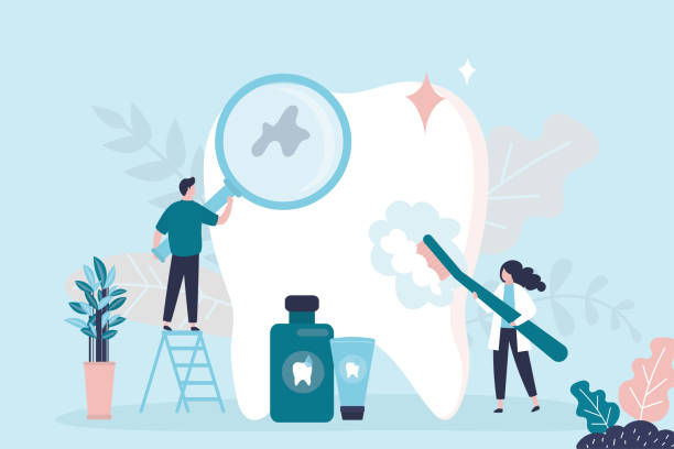Trusted Clairton, PA Holistic Dental Care Services Experts